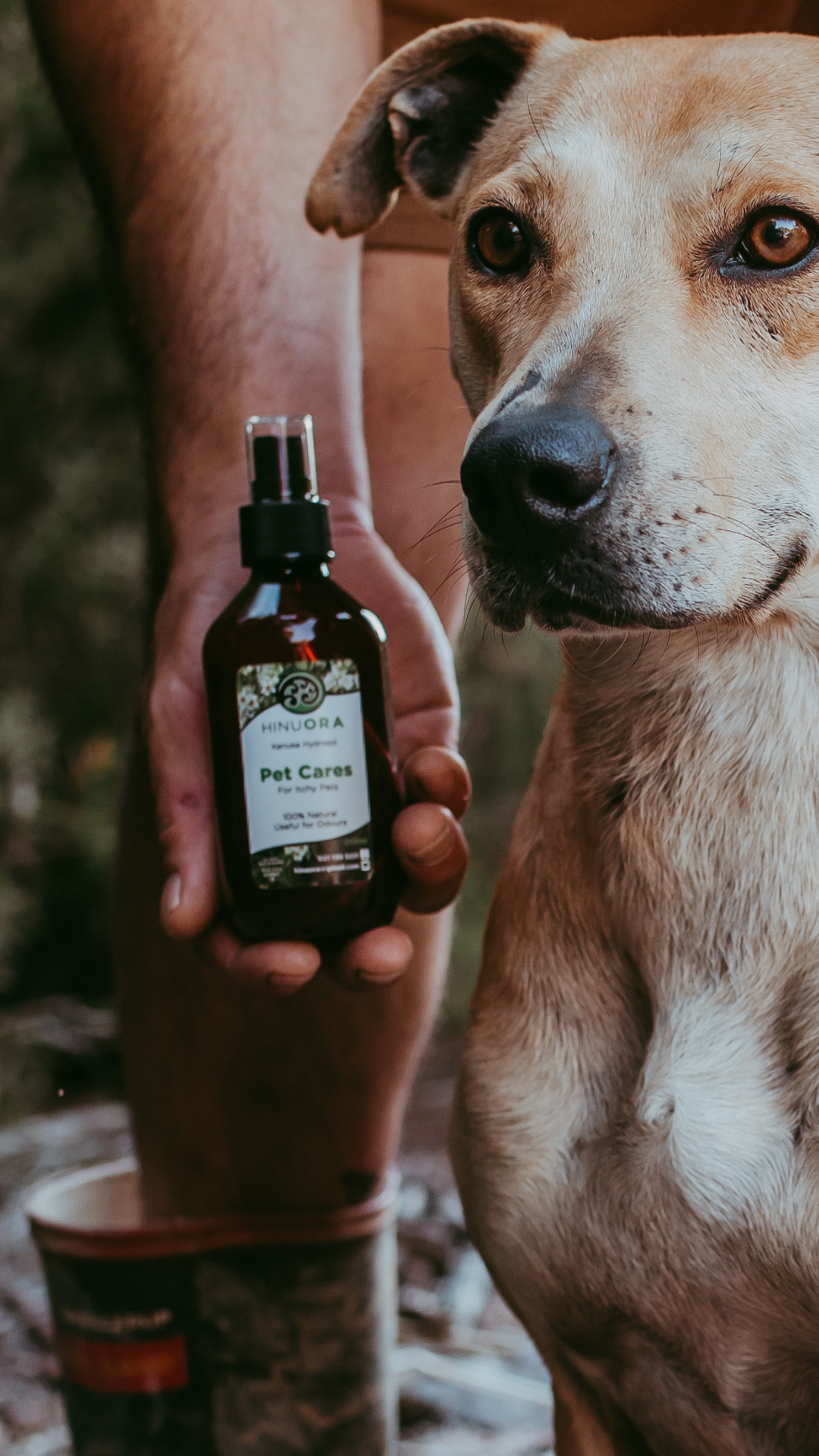 Hinu Ora Kanuka Oil & Kanuka Hydrosol